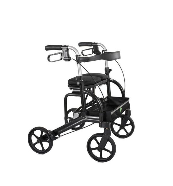 0009741_evolution-sierra-air-regular-walker
